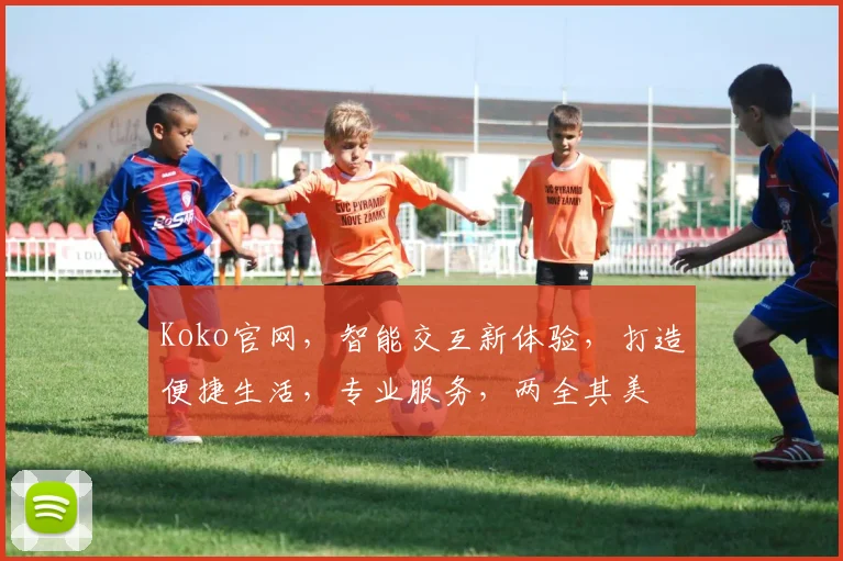 Koko官网，智能交互新体验，打造便捷生活，专业服务，两全其美