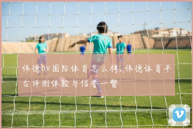 伟德bv国际体育怎么样,伟德体育平台评测体验与信誉一瞥